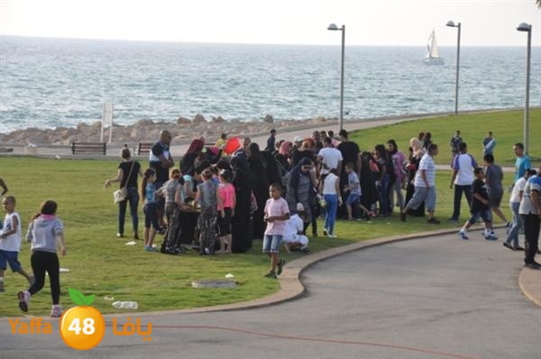 mster shef 0523 (27).JPG